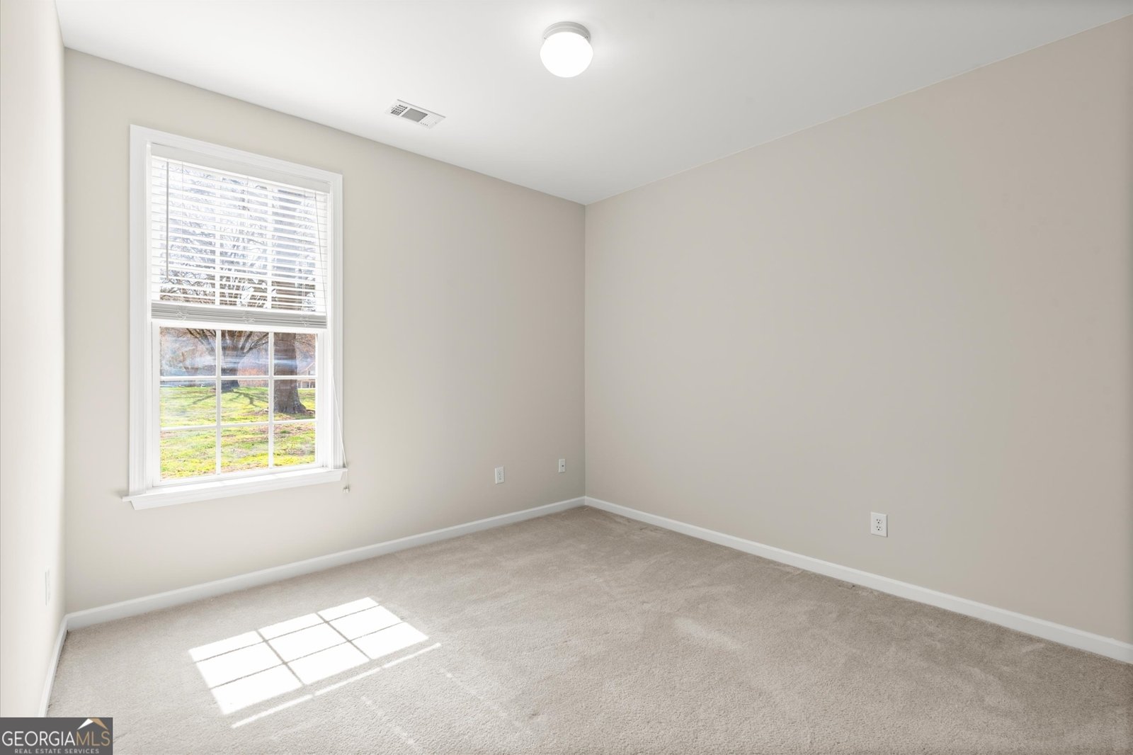 305 Hollybush Court Ball Ground - Photo 30