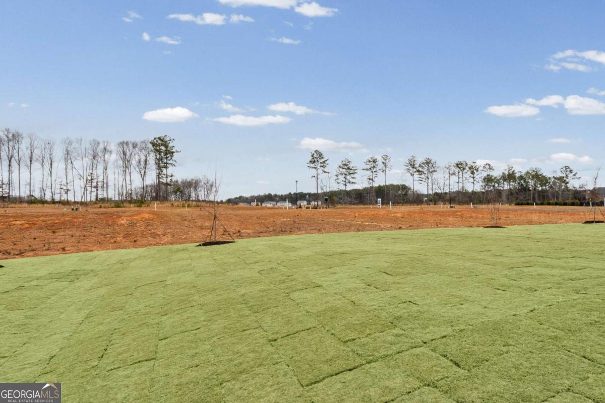 632 Vidalia Park Way Mcdonough - Photo 18