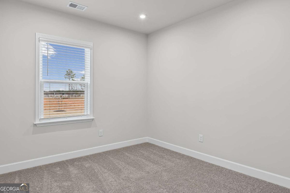 632 Vidalia Park Way Mcdonough - Photo 8