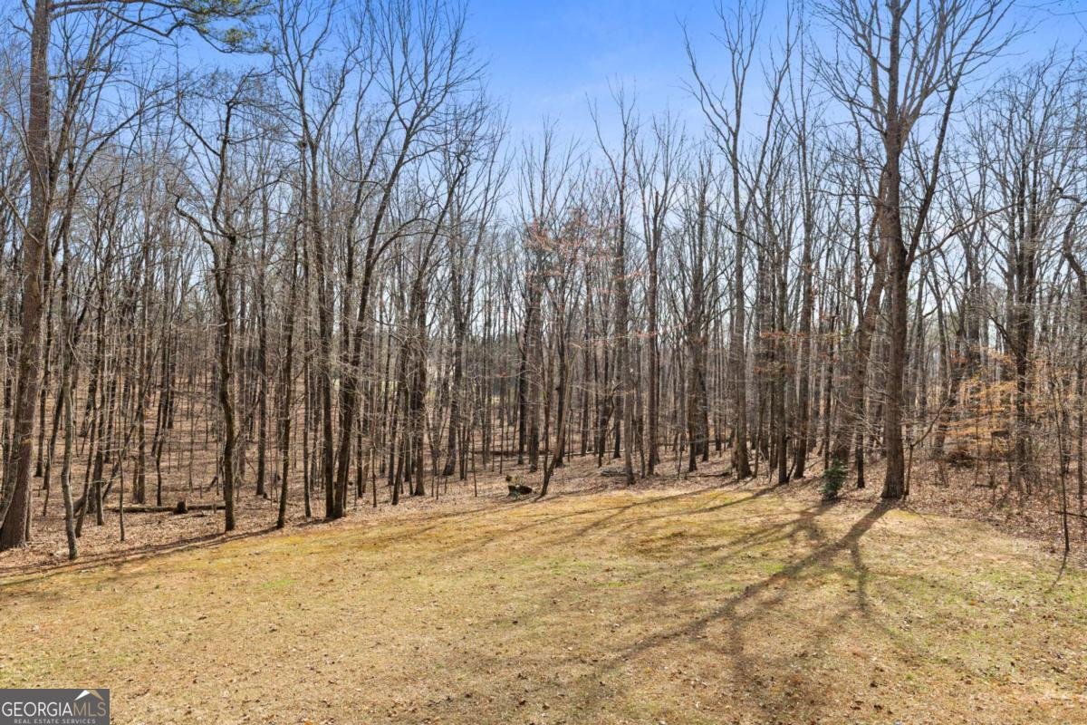 123 Sweetbriar Drive Jasper - Photo 38