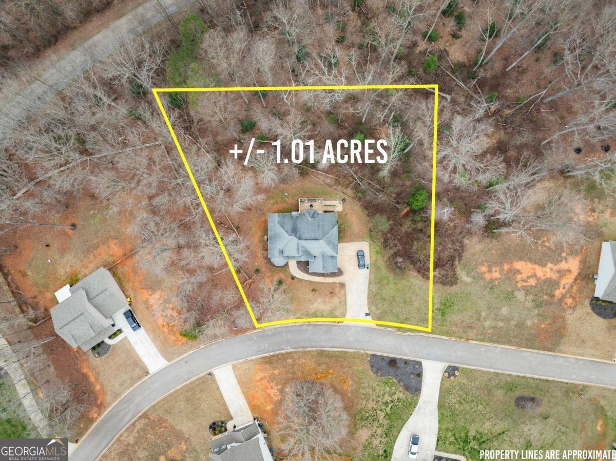 318 Waterford Circle Cornelia - Photo 40