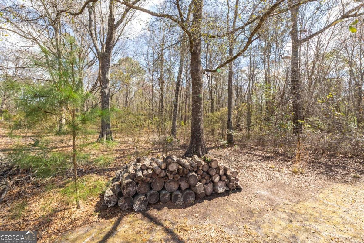 3547 Chapel Lane Blackshear - Photo 31