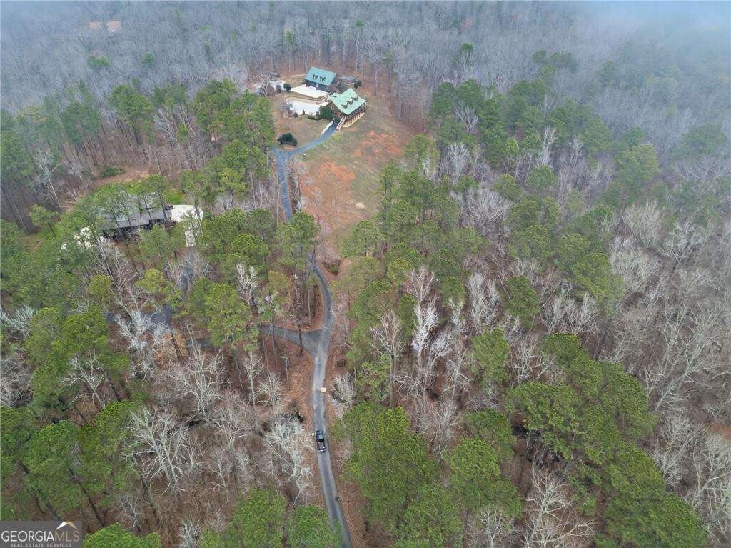 7346 Banks Mill Road Douglasville - Photo 55