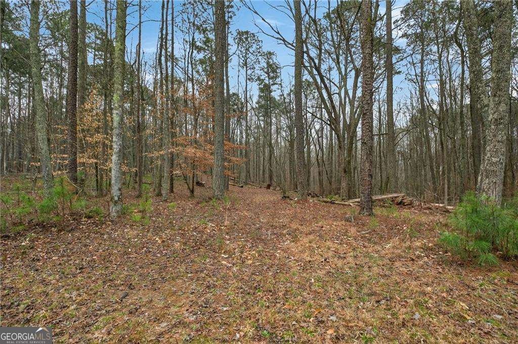 7346 Banks Mill Road Douglasville - Photo 60