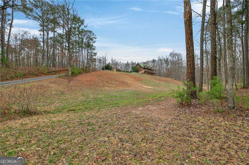 7346 Banks Mill Road Douglasville - Photo 61