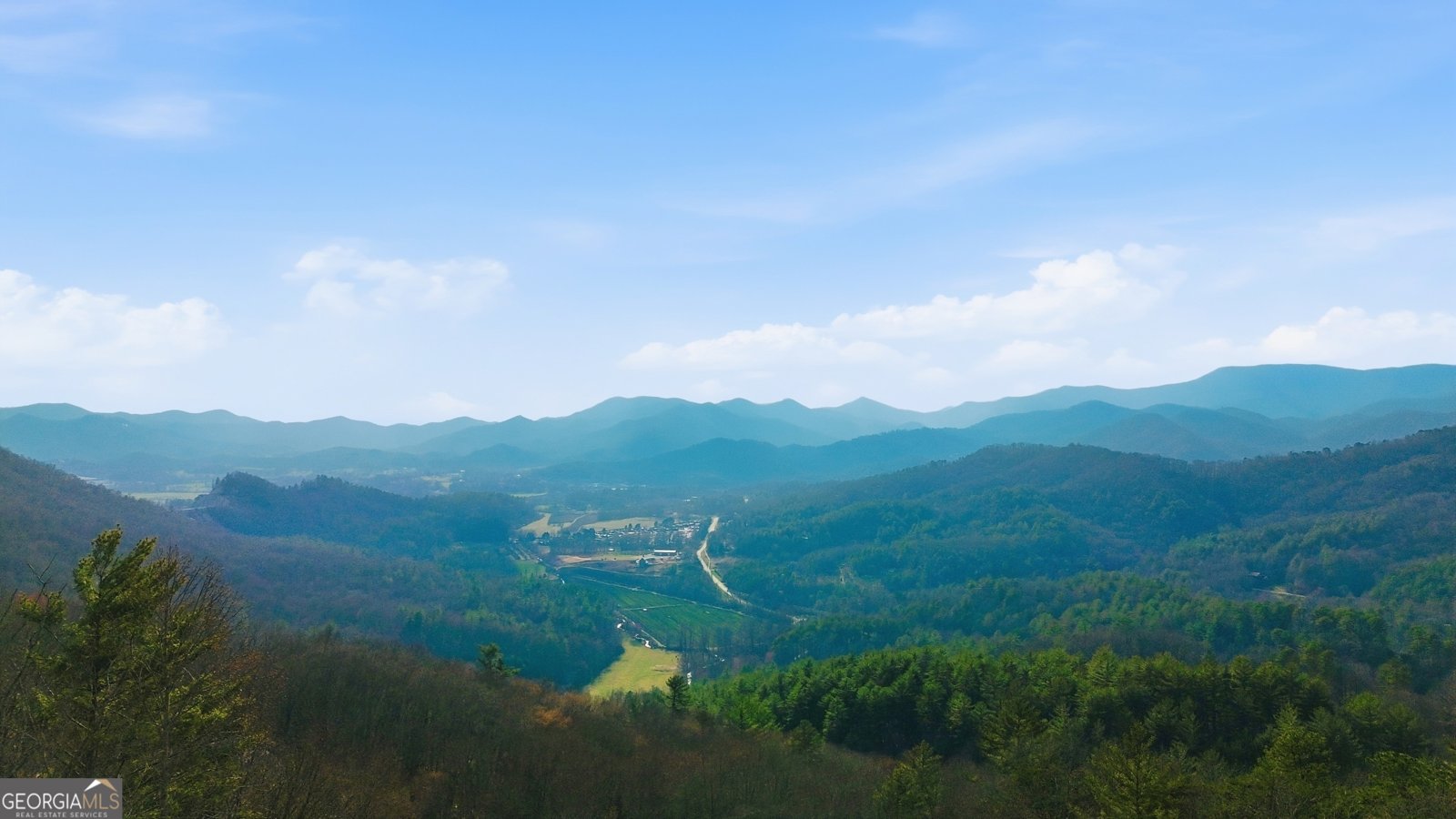 58 Buttons Lane Dillard - Photo 69