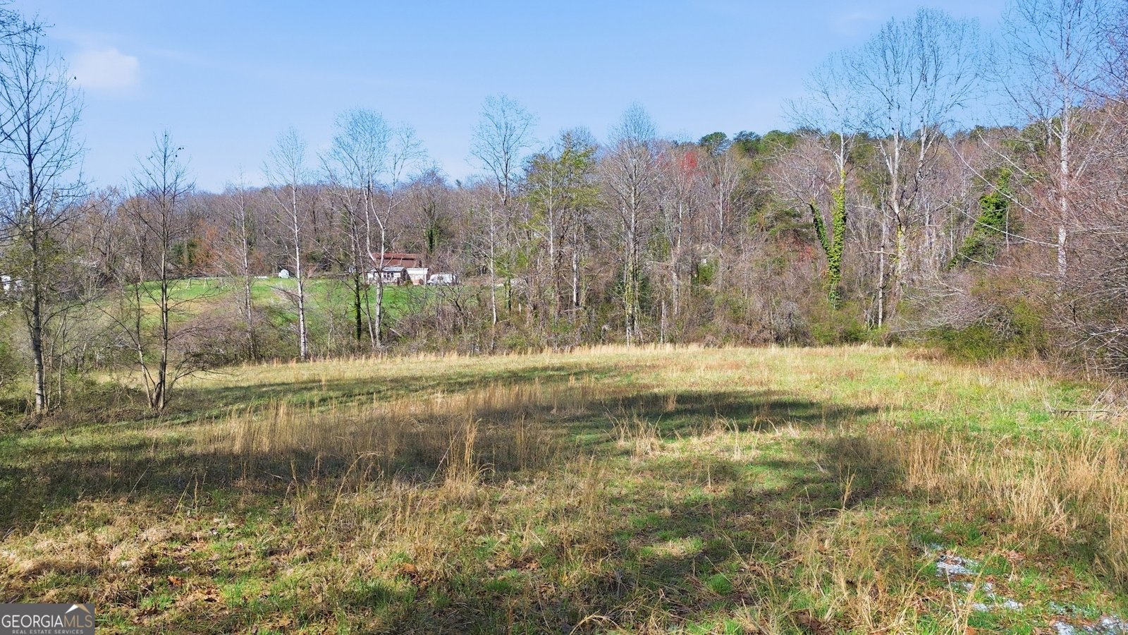 275 Merrydale Lane Clayton - Photo 48