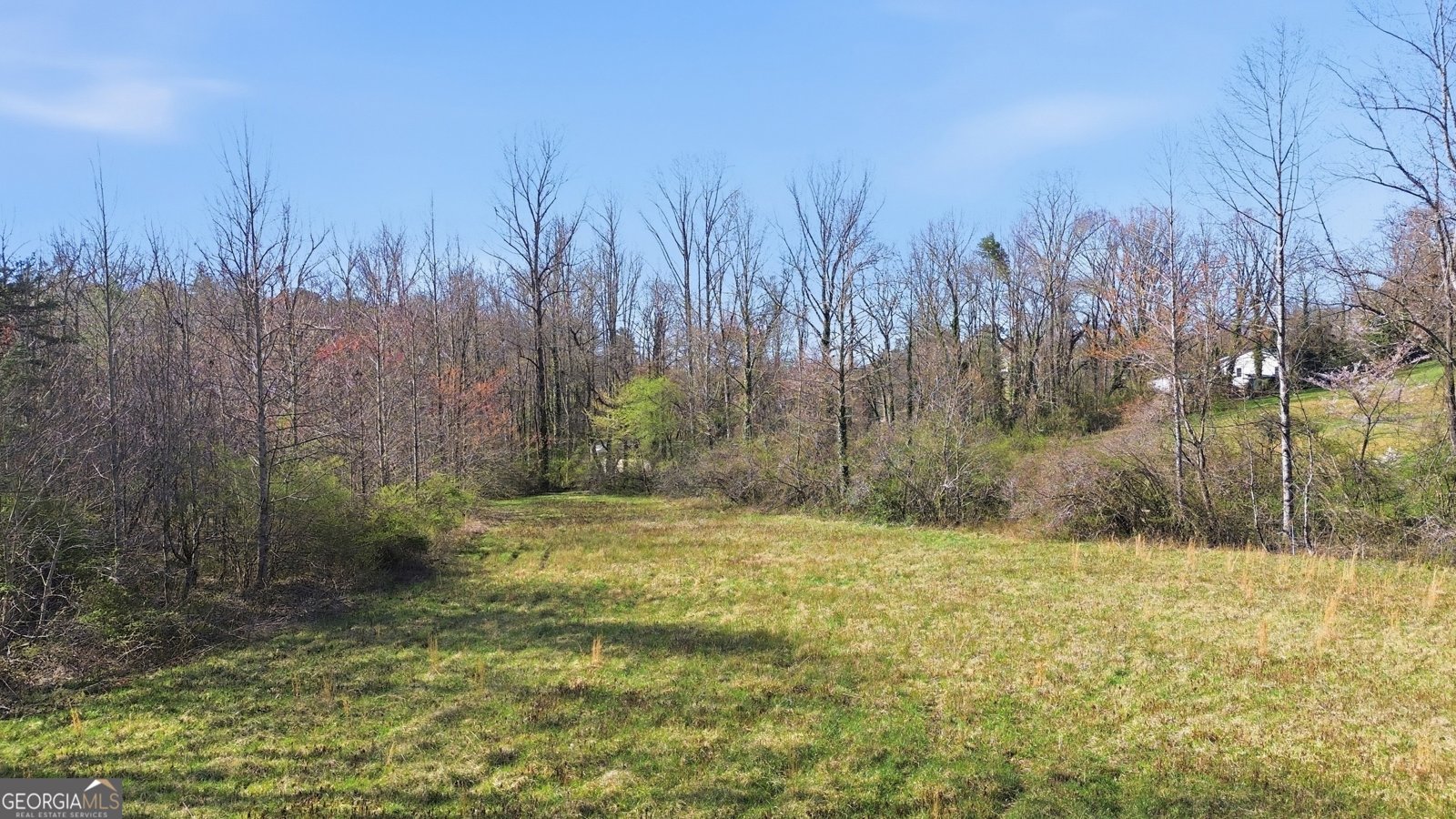 275 Merrydale Lane Clayton - Photo 50