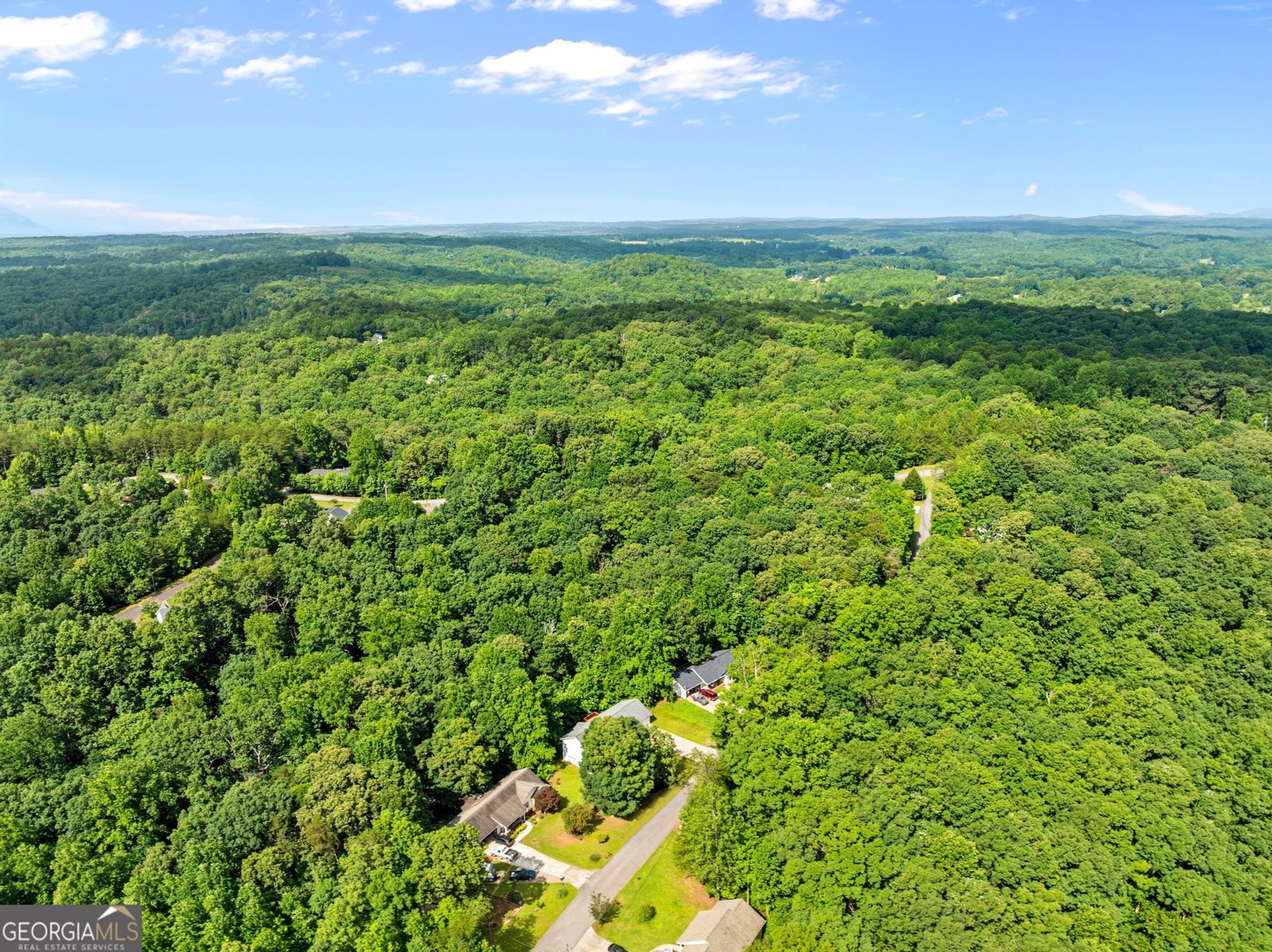 132 J Mountain Drive Dahlonega - Photo 49