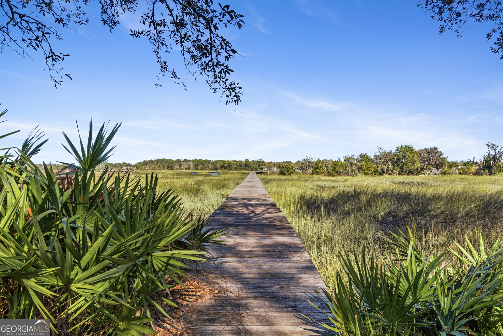 203 Salt Grass Trace St. Marys - Photo 30