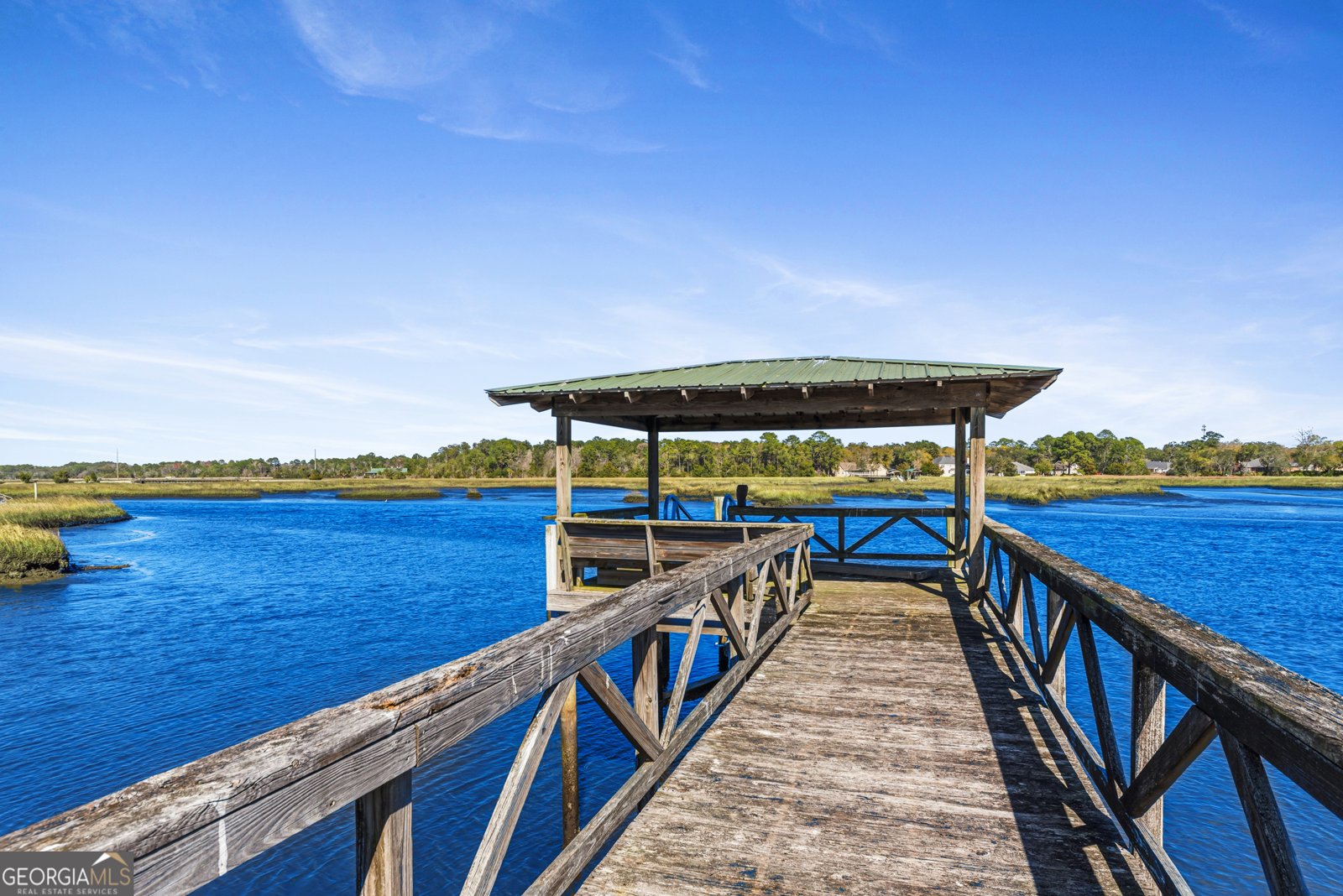 203 Salt Grass Trace St. Marys - Photo 6