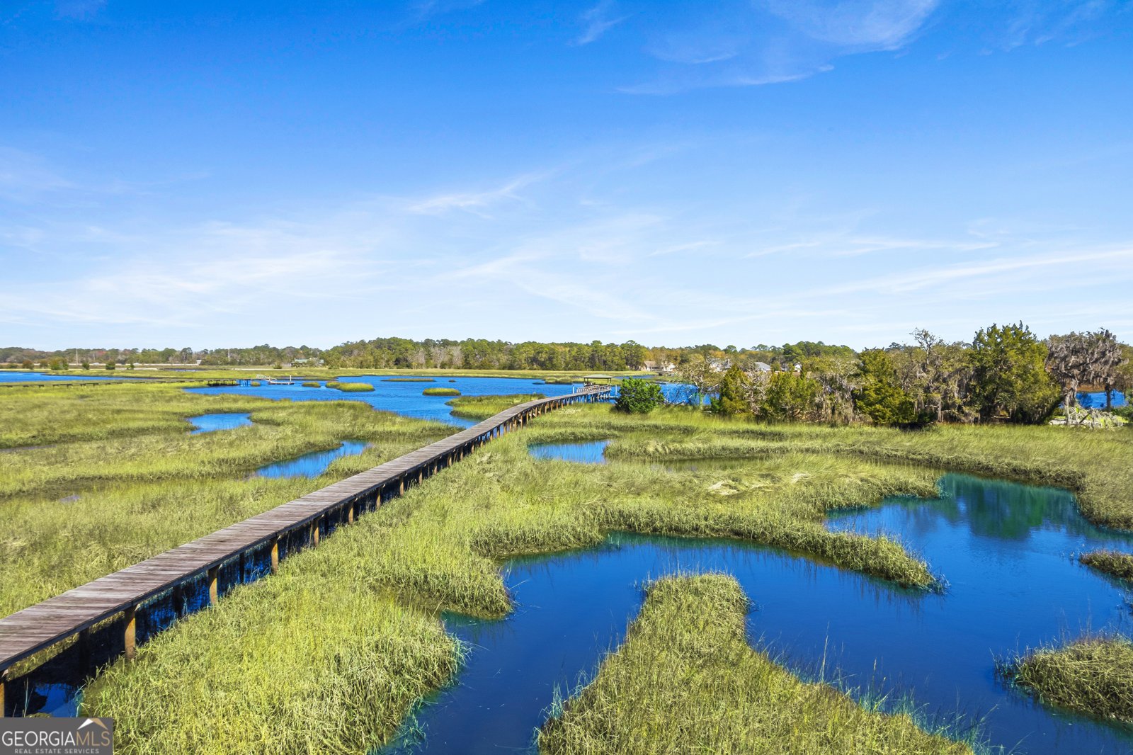 203 Salt Grass Trace St. Marys - Photo 63