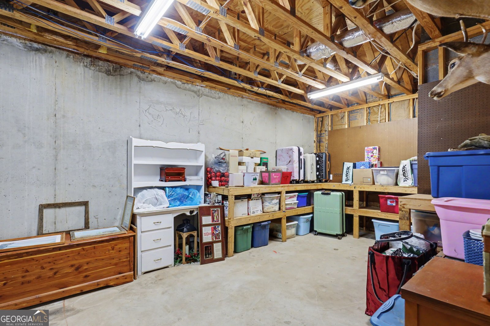 813 Tiger Connector Tiger - Photo 48