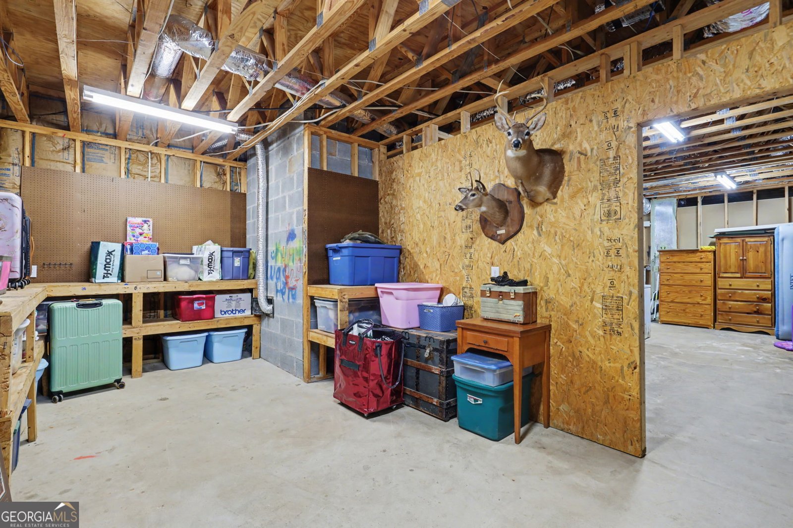 813 Tiger Connector Tiger - Photo 49