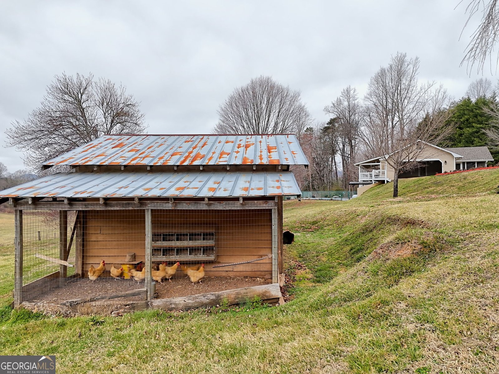 813 Tiger Connector Tiger - Photo 78