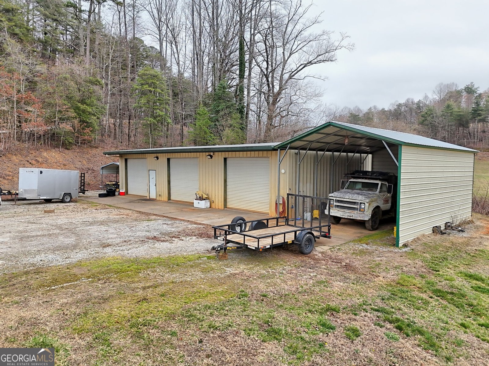 813 Tiger Connector Tiger - Photo 79