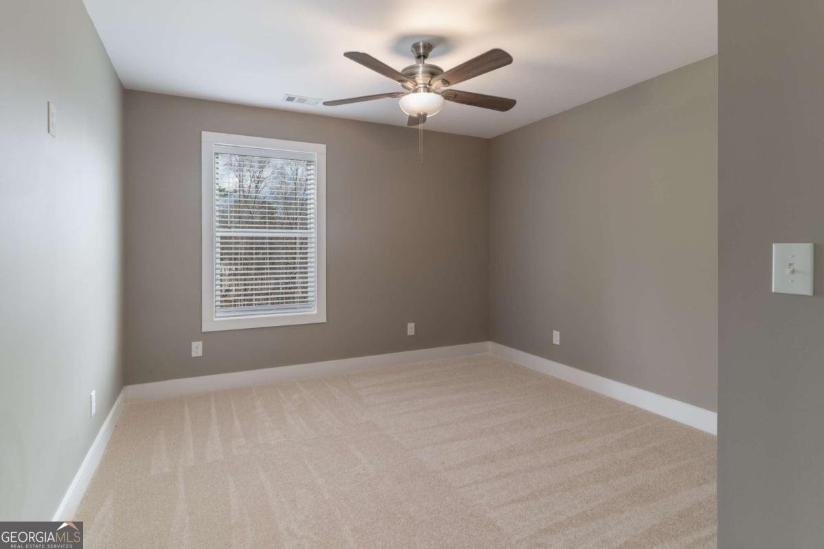 229 Little Brook Drive Woodstock - Photo 25