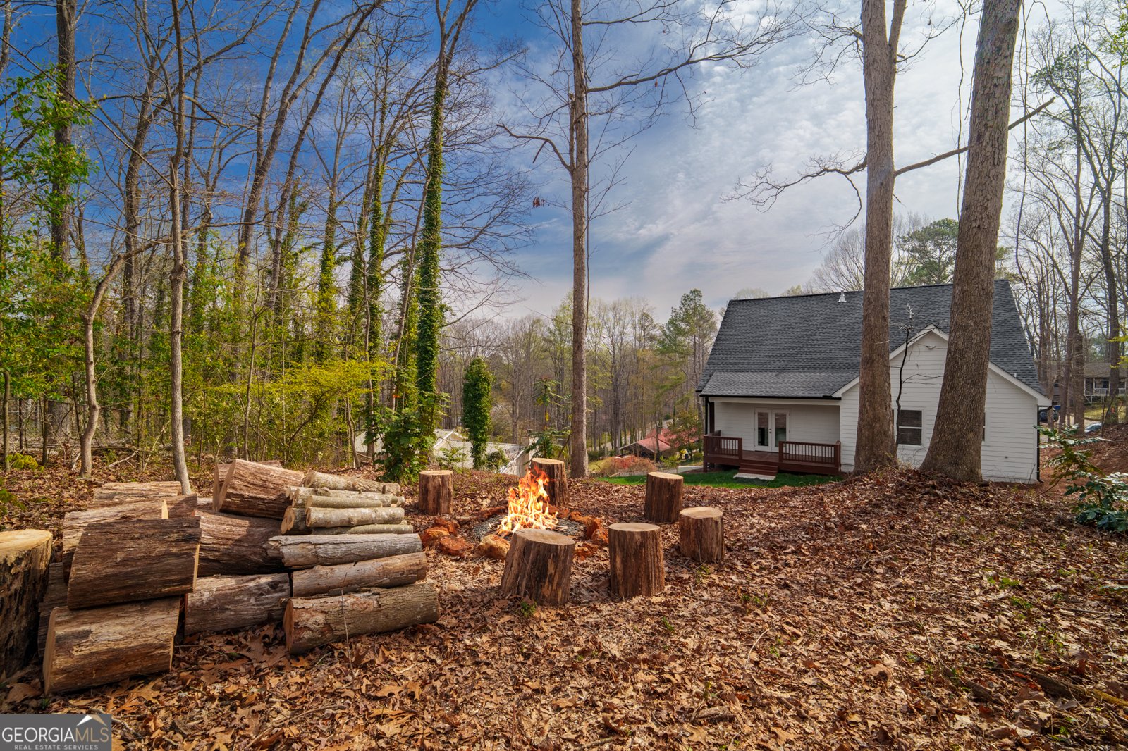 229 Little Brook Drive Woodstock - Photo 35