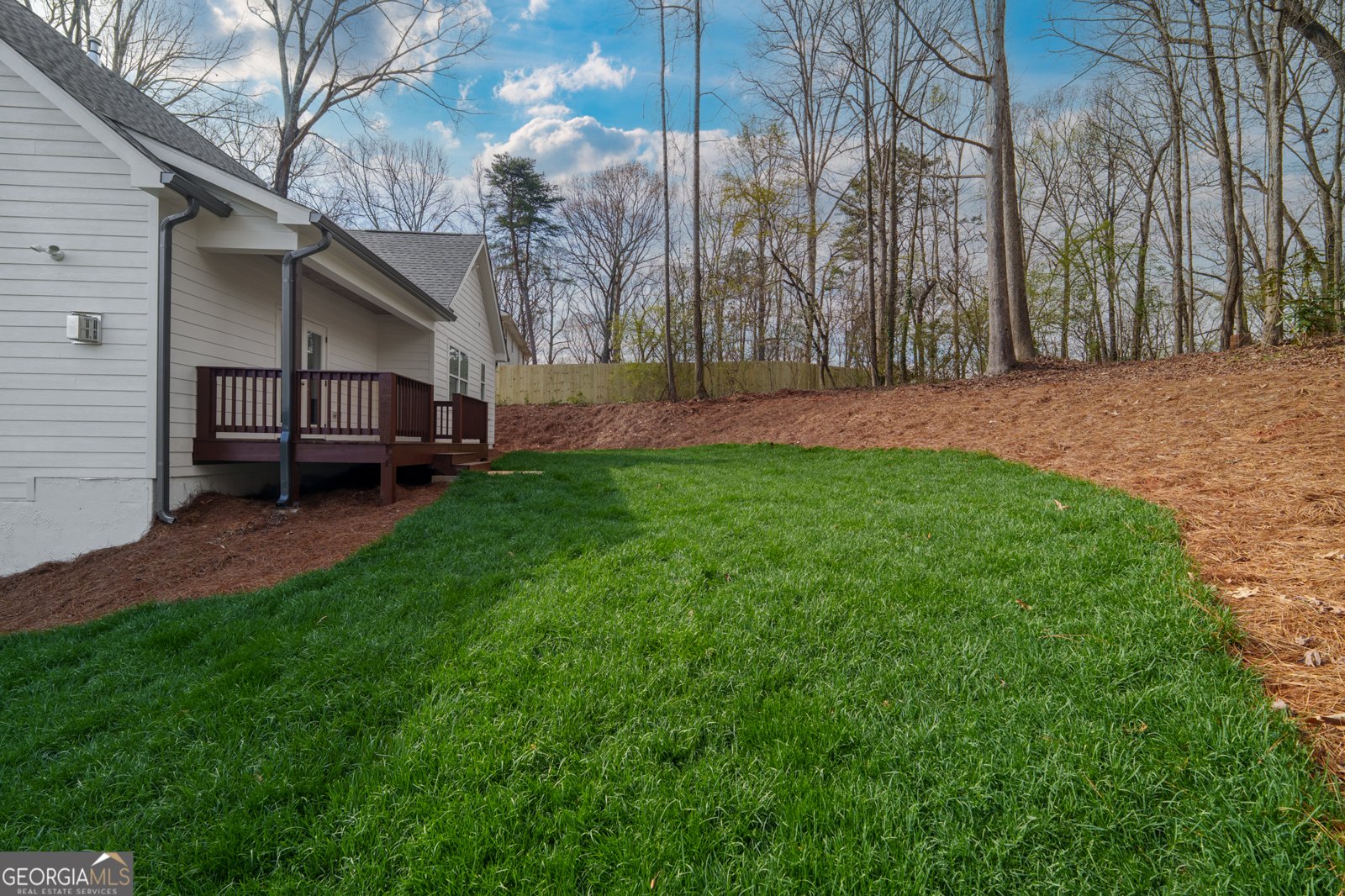 229 Little Brook Drive Woodstock - Photo 38