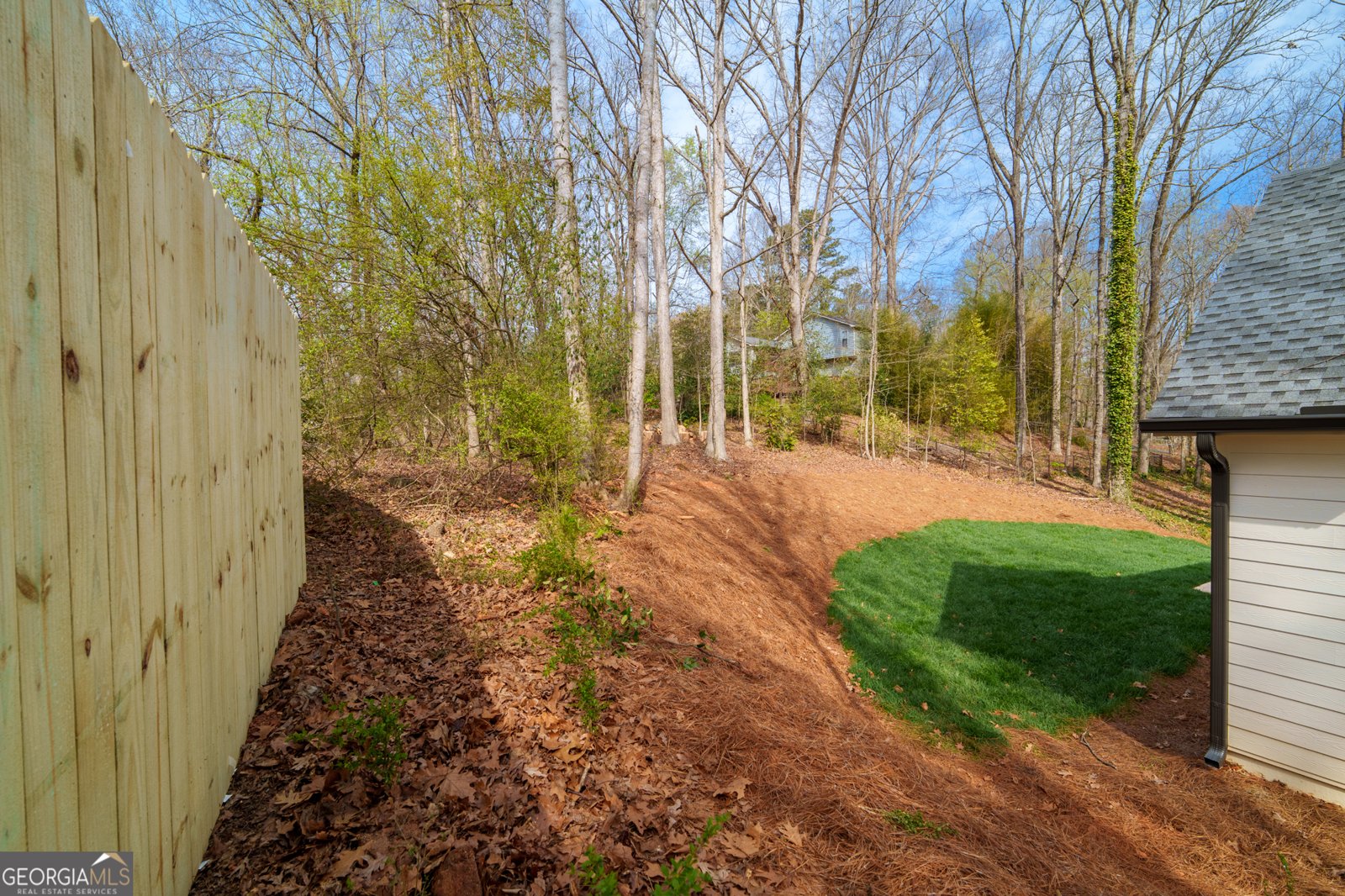 229 Little Brook Drive Woodstock - Photo 42