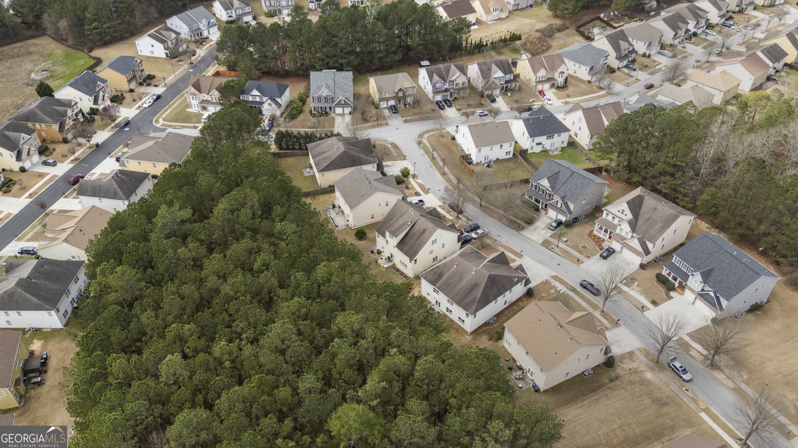 1878 Mountain Park Run Loganville - Photo 44