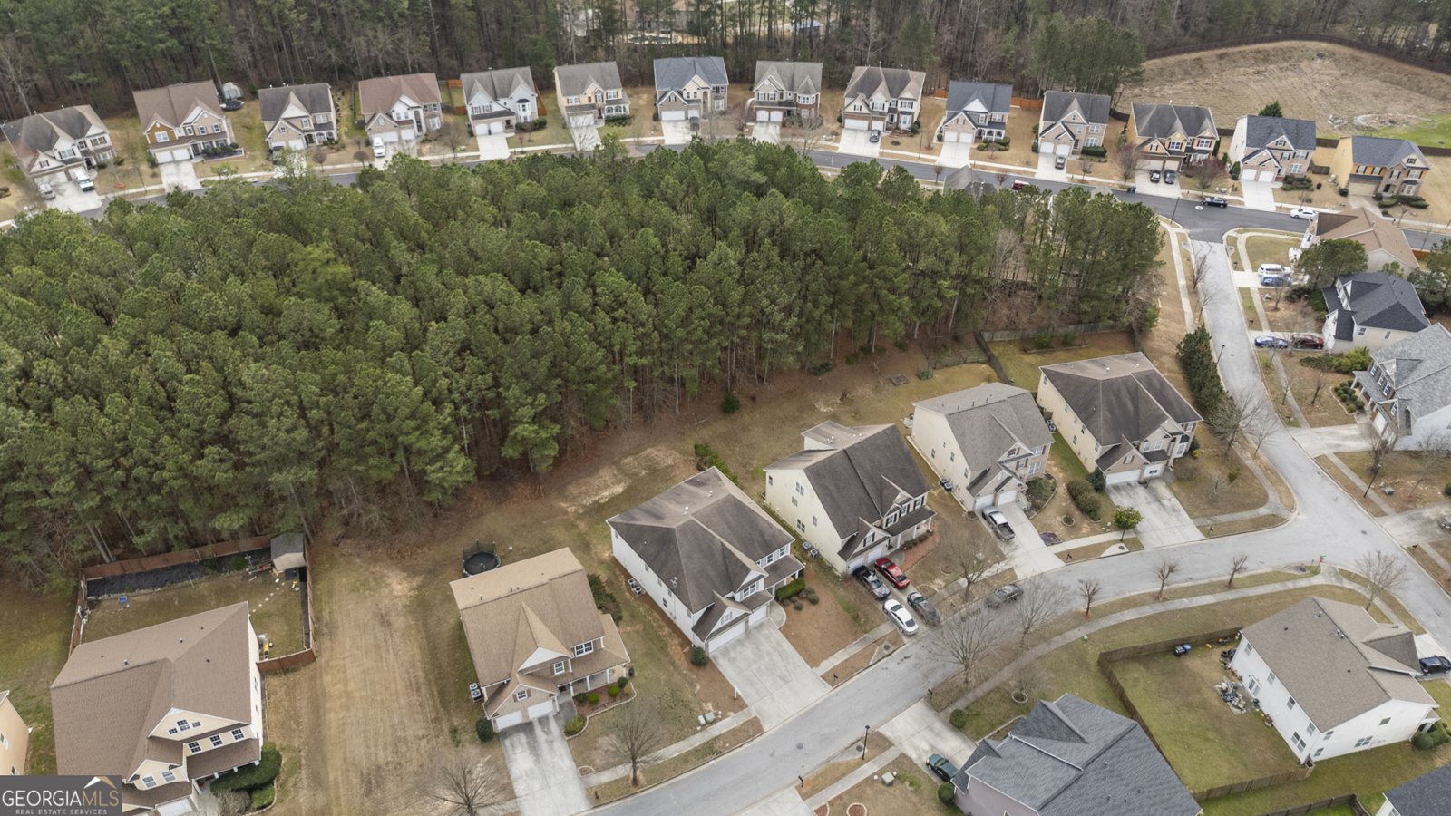 1878 Mountain Park Run Loganville - Photo 46