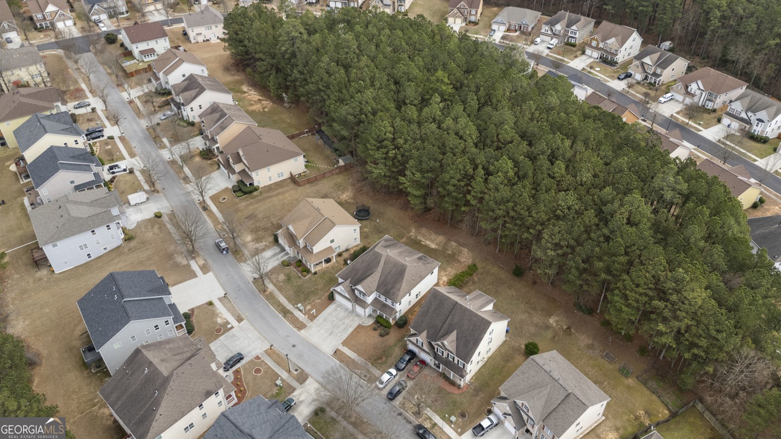 1878 Mountain Park Run Loganville - Photo 48