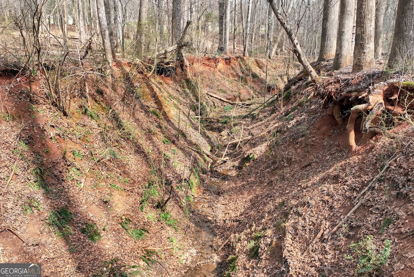 115 Rock Quarry Drive Danielsville - Photo 37