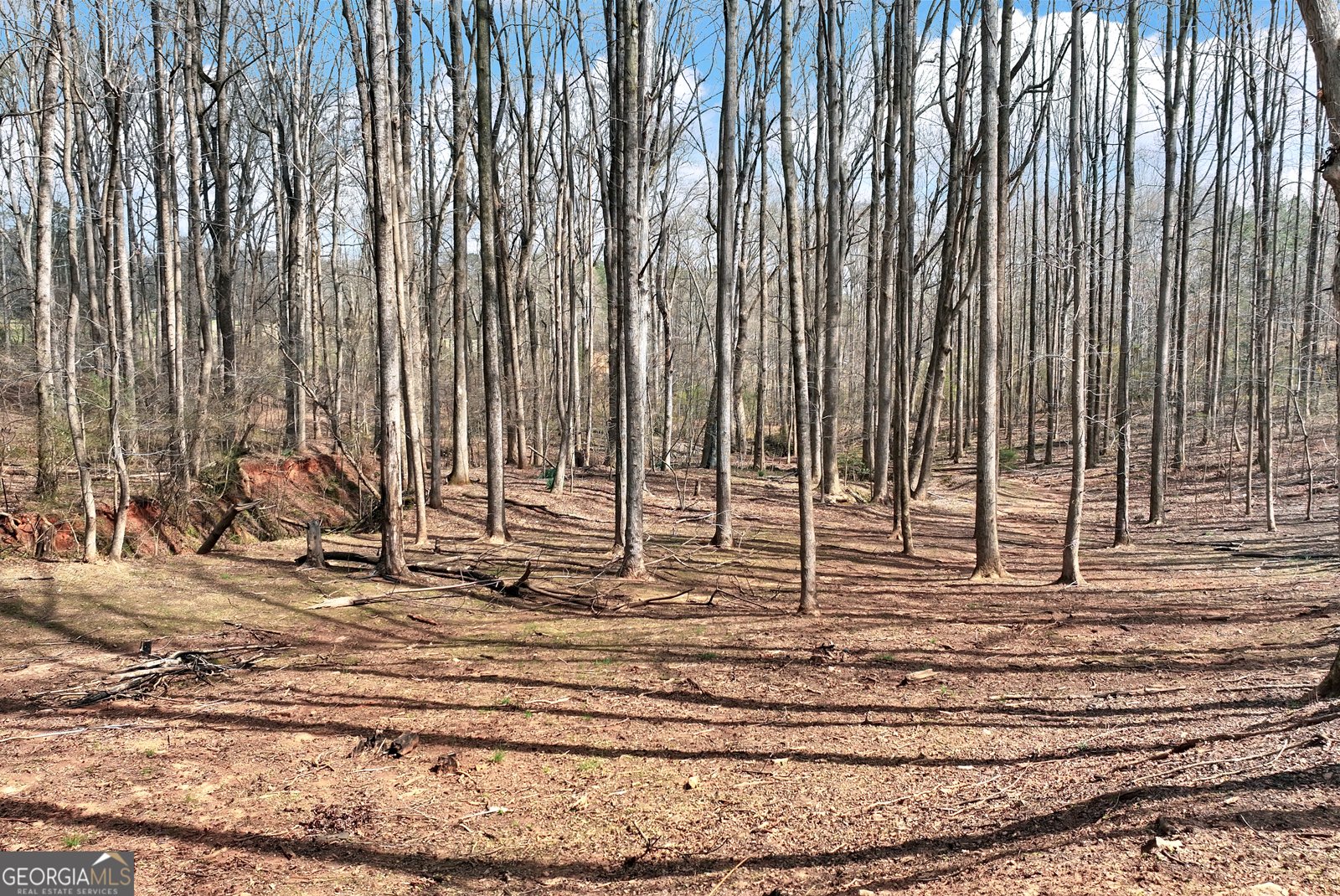 115 Rock Quarry Drive Danielsville - Photo 38