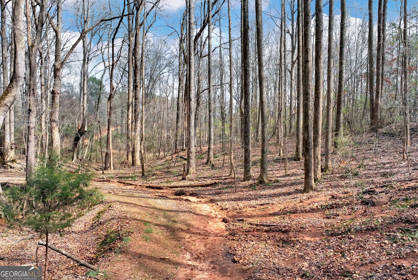 115 Rock Quarry Drive Danielsville - Photo 39