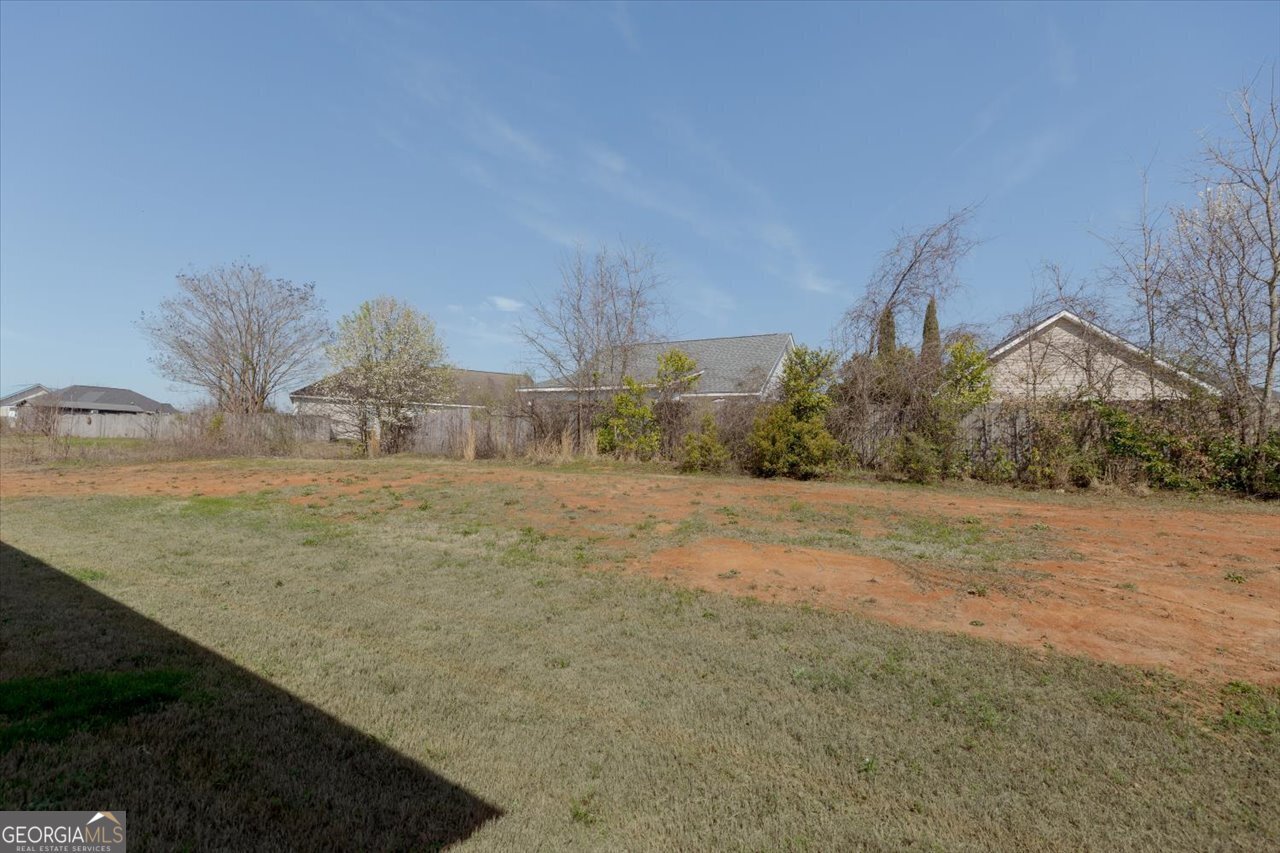 239 Isabella Way Byron - Photo 40