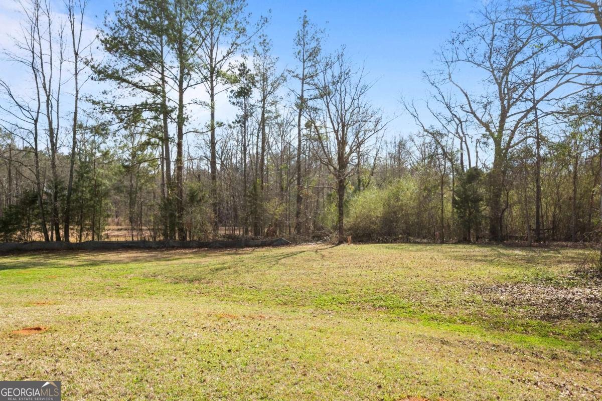 741 Robert Williams Road Pine Mountain - Photo 39