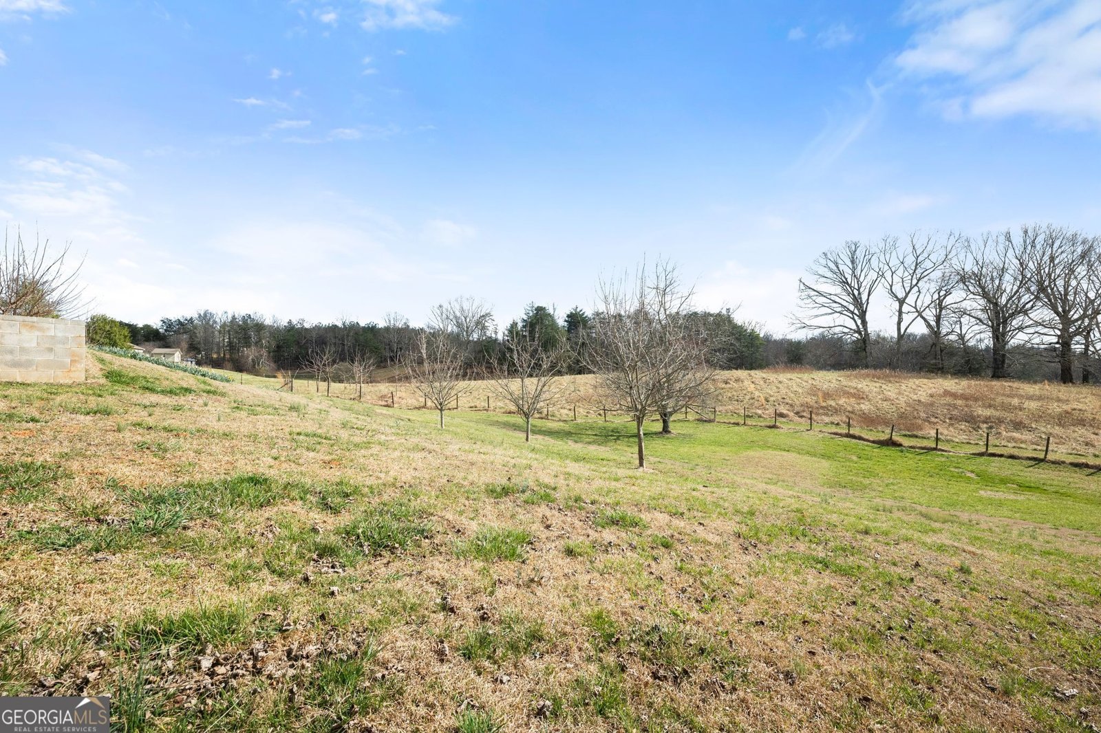 3443 Tesnatee Gap Valley Road Cleveland - Photo 42