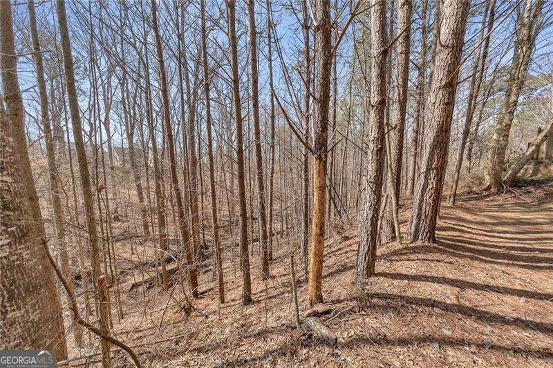 150 Hidden Lake Circle Canton - Photo 37