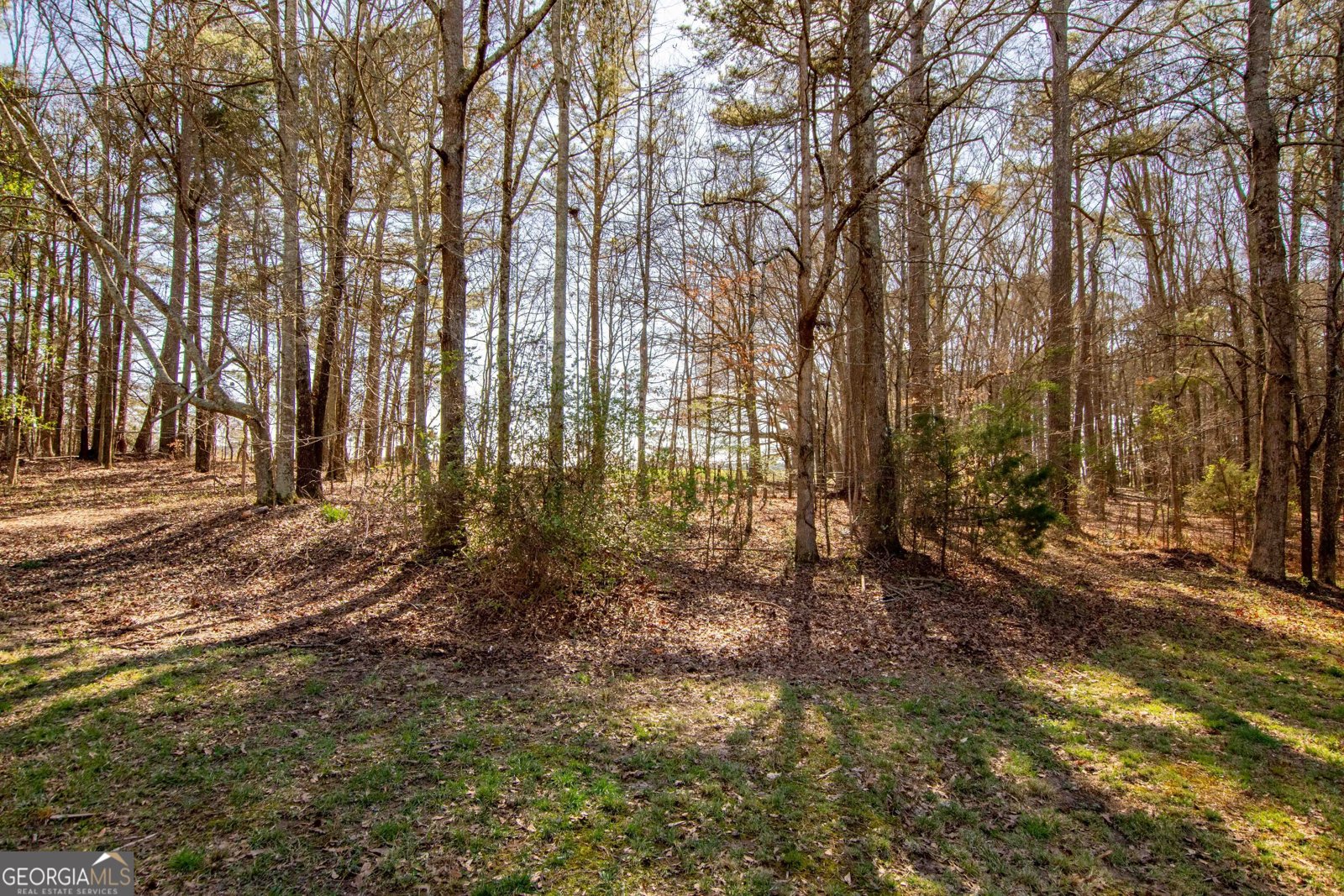 4204 Logans Bluff Loganville - Photo 37