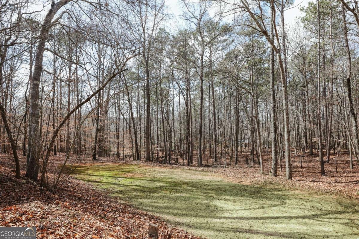 1450 Spartan Lane Athens - Photo 59