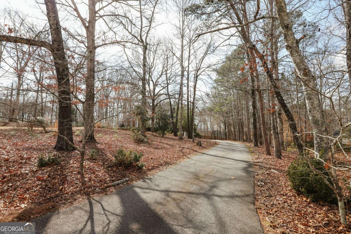 1450 Spartan Lane Athens - Photo 64