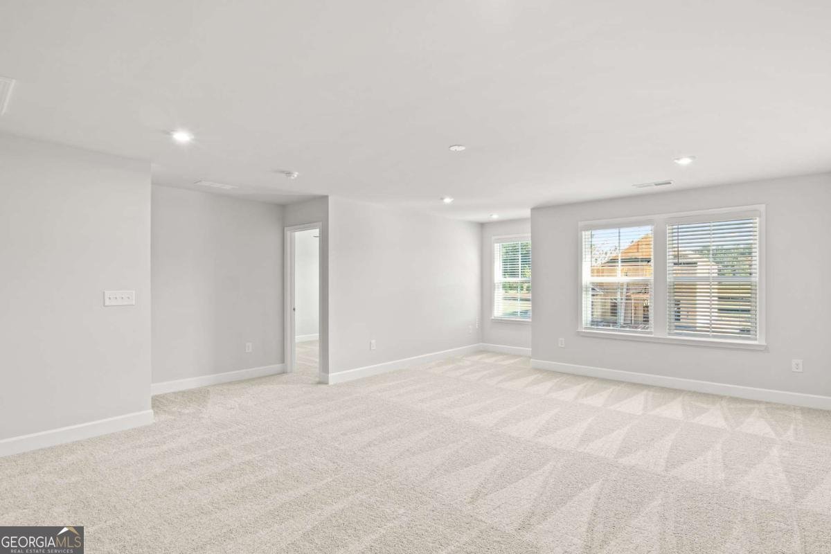 230 Kindness Circle Mcdonough - Photo 19