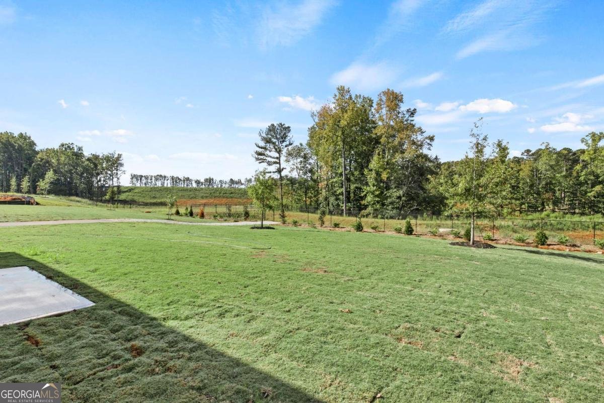 230 Kindness Circle Mcdonough - Photo 35