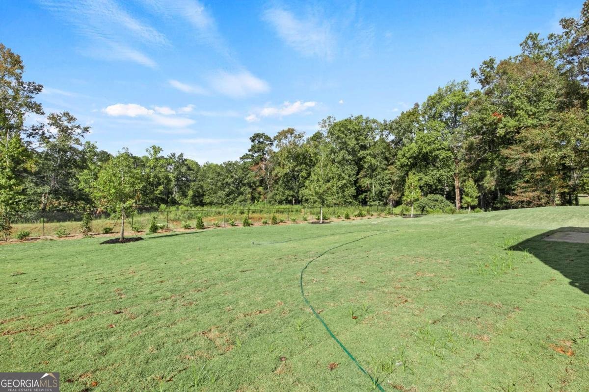 230 Kindness Circle Mcdonough - Photo 36