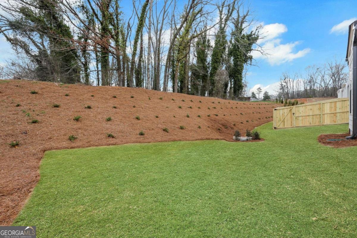 196 Trace Bluff Dawsonville - Photo 61