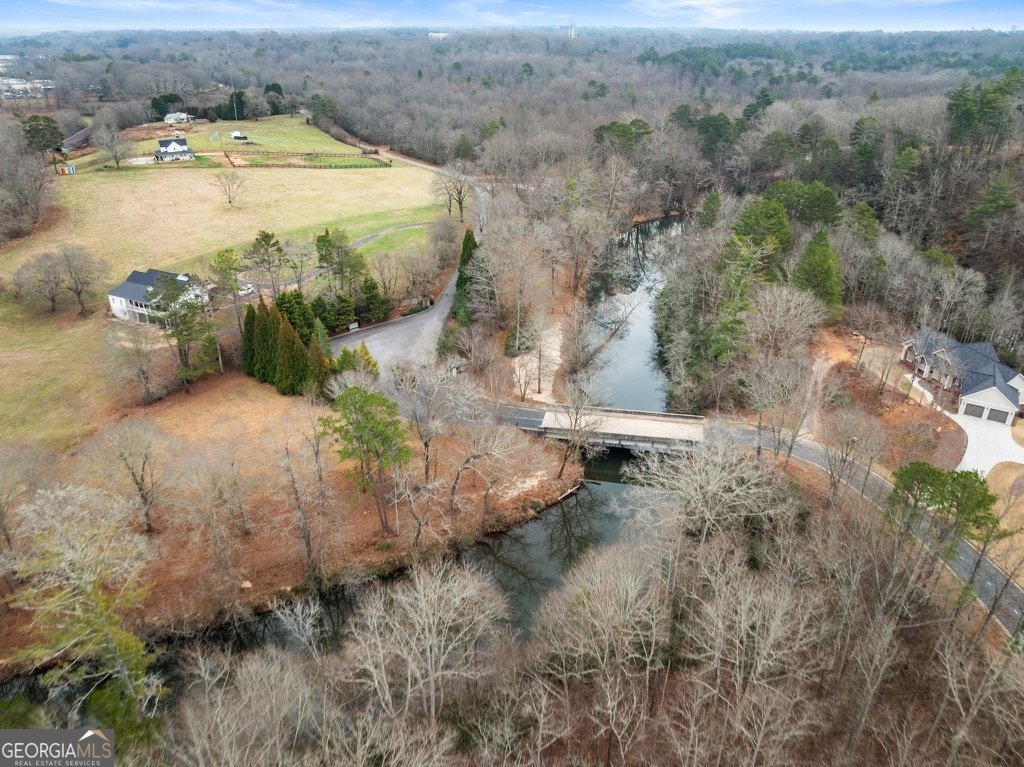 206 Shoals Way Clarkesville - Photo 35