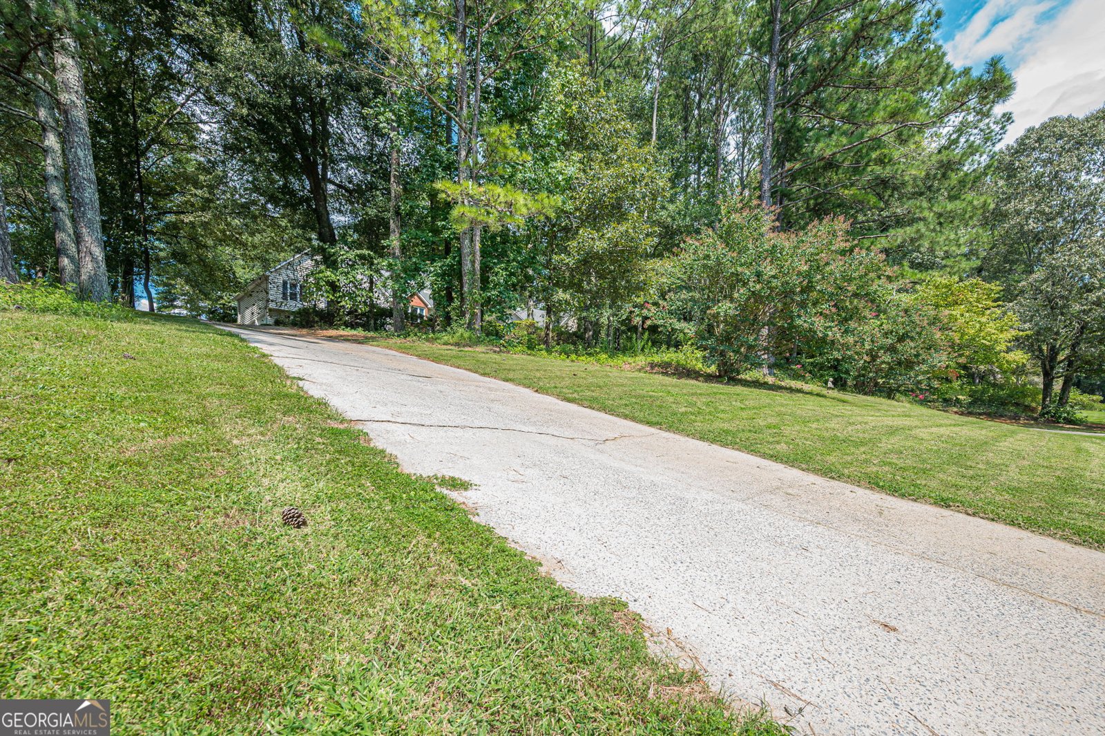 1243 Palm Ridge Trace Canton - Photo 59