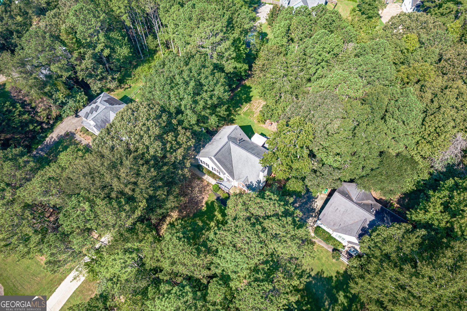 1243 Palm Ridge Trace Canton - Photo 61