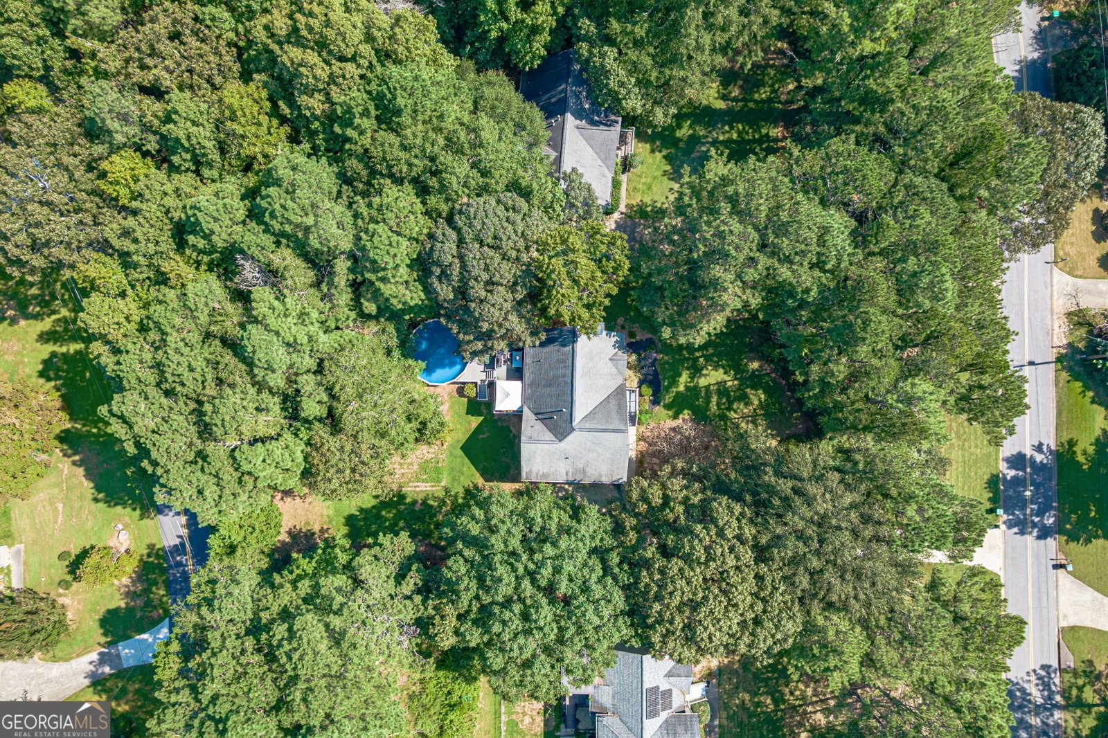 1243 Palm Ridge Trace Canton - Photo 62