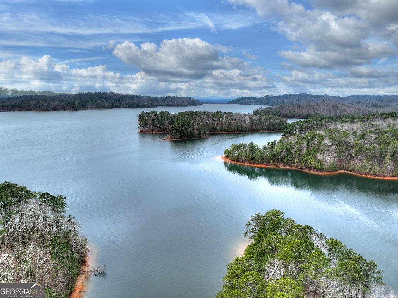 144 Emerald Cove Drive Ellijay - Photo 59