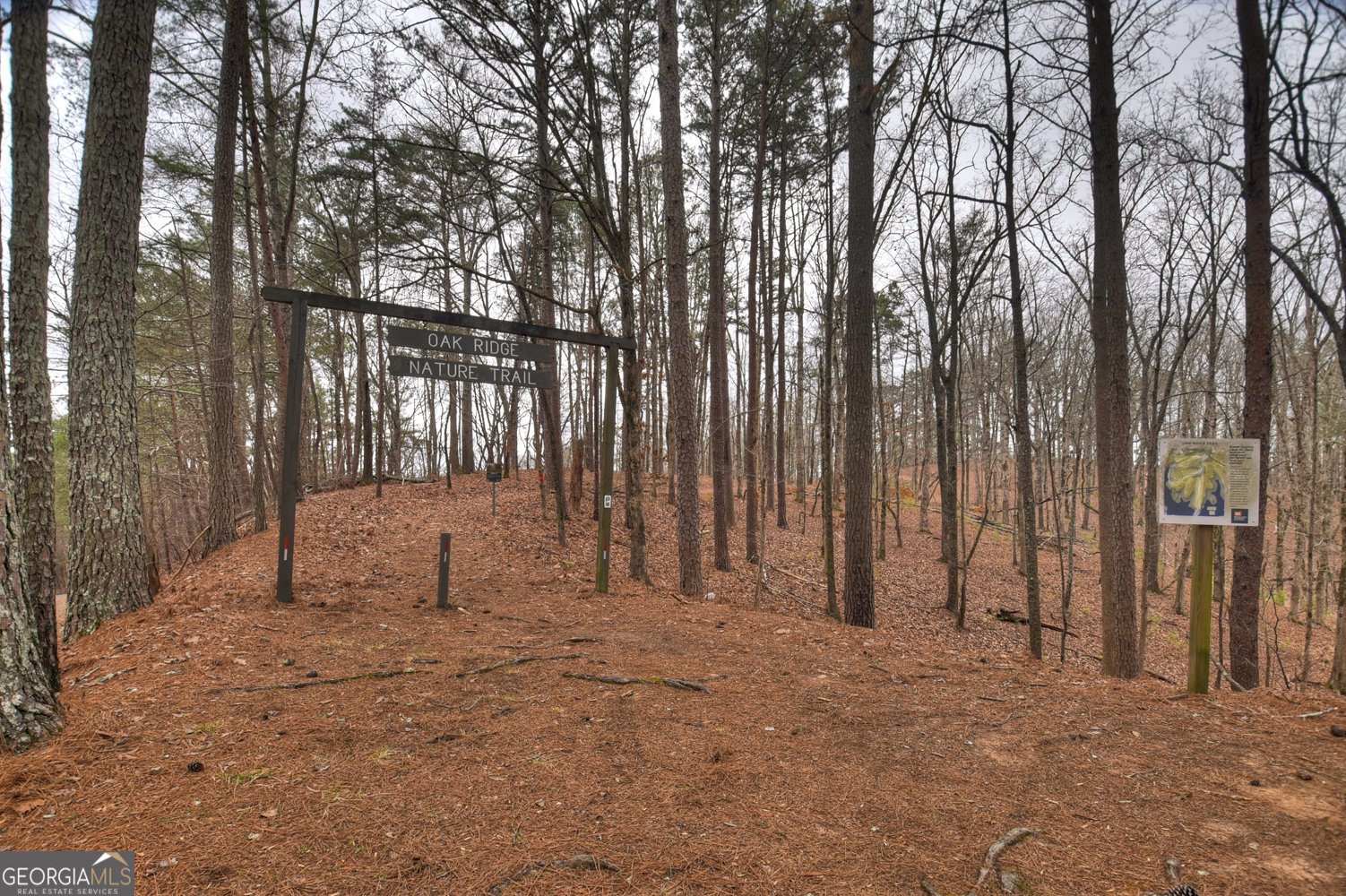 144 Emerald Cove Drive Ellijay - Photo 67