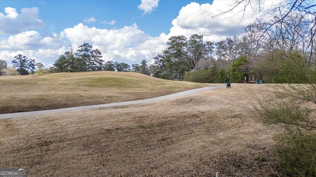 4697 Brae Burn Lane Macon - Photo 68