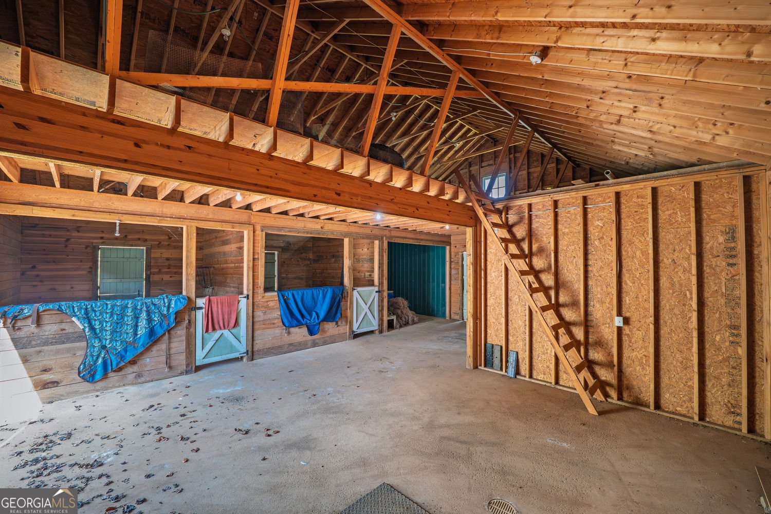 250 Frank Bruce Road Dawsonville - Photo 103