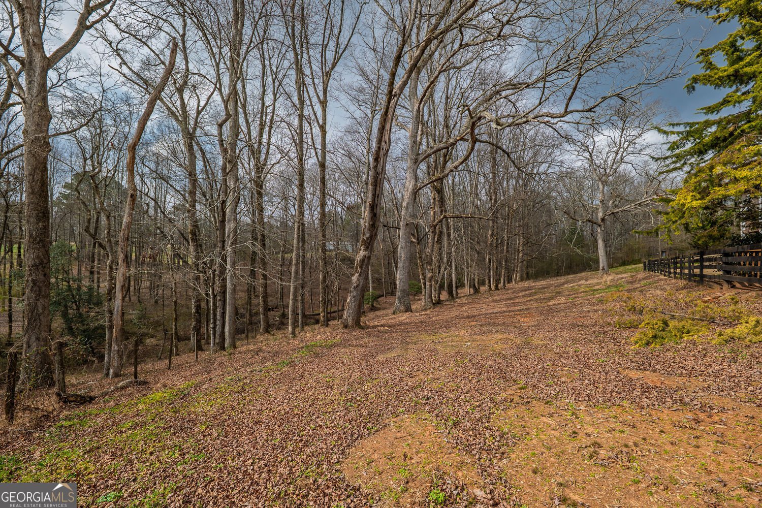 250 Frank Bruce Road Dawsonville - Photo 108